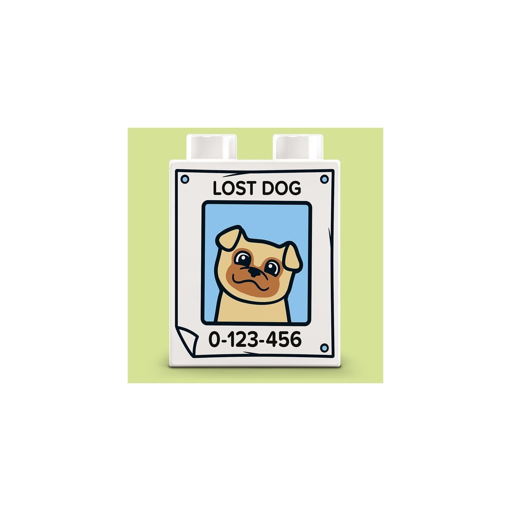 10967_6.jpg