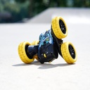 201103007_05_ig_dickietoys_rc-firenfrostflippy_639.jpg