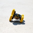 201103007_06_ig_dickietoys_rc-firenfrostflippy_637.jpg