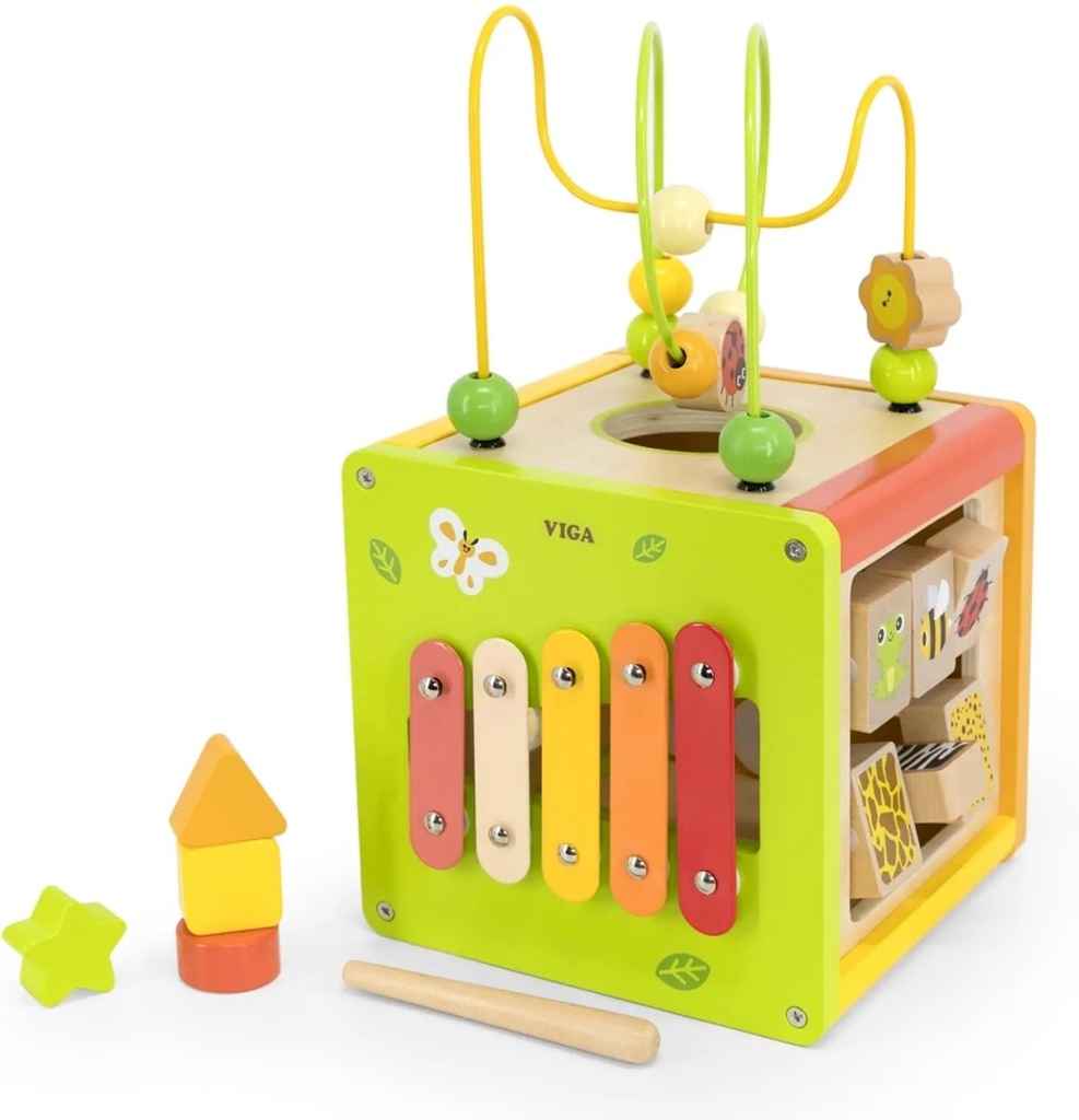 5-in-1 Activity Cube-Viga