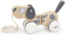 Pull-Along Puppy - Viga